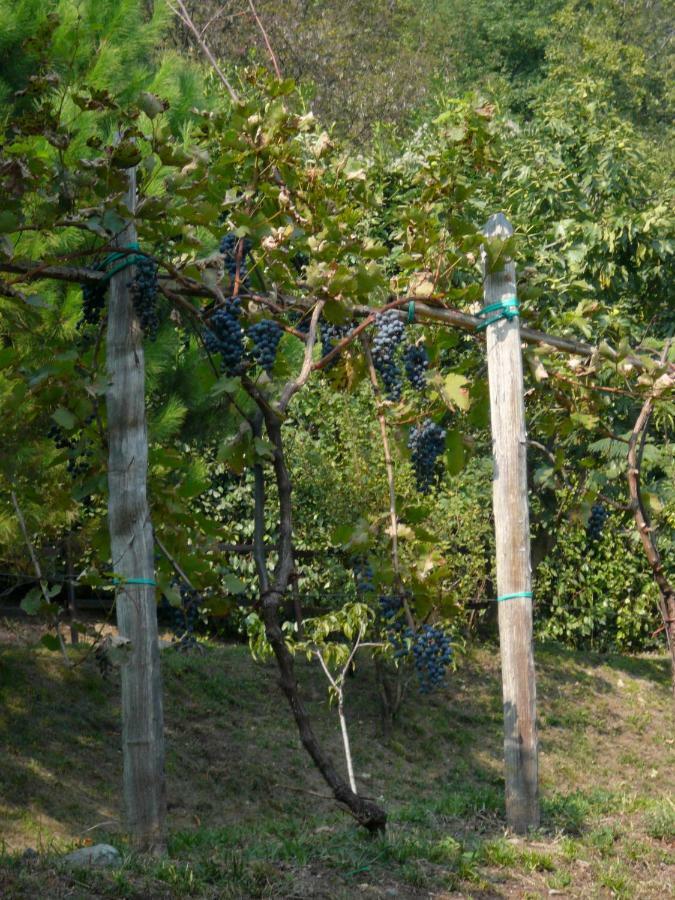 Cascina Cologna Bed & Breakfast Galbiate Exterior photo